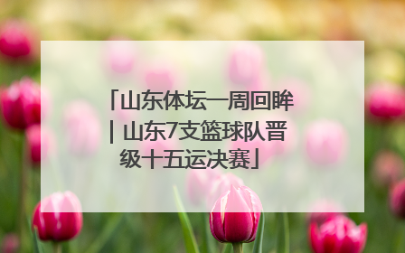 山东体坛一周回眸｜山东7支篮球队晋级十五运决赛