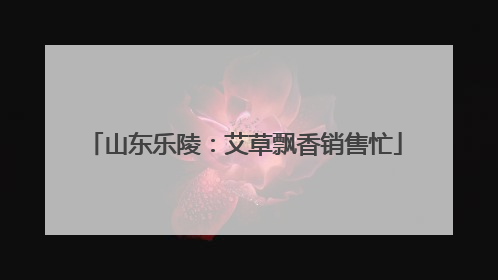 山东乐陵：艾草飘香销售忙