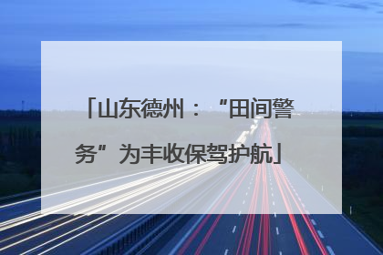 山东德州：“田间警务”为丰收保驾护航