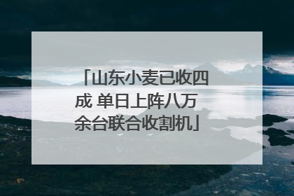 山东小麦已收四成 单日上阵八万余台联合收割机