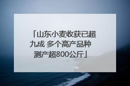 山东小麦收获已超九成 多个高产品种测产超800公斤