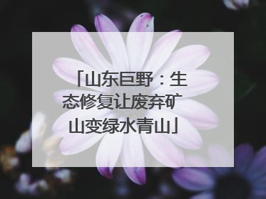 山东巨野：生态修复让废弃矿山变绿水青山