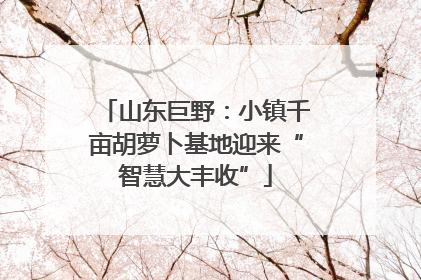 山东巨野：小镇千亩胡萝卜基地迎来“智慧大丰收”