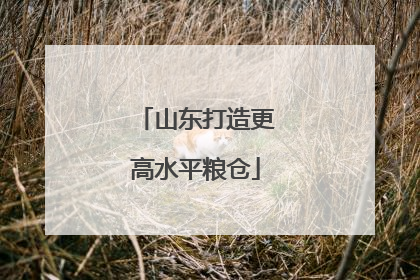 山东打造更高水平粮仓