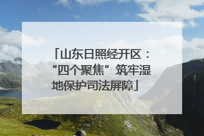 山东日照经开区：“四个聚焦”筑牢湿地保护司法屏障