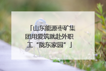 山东能源枣矿集团用爱筑就赴外职工“陇东家园”