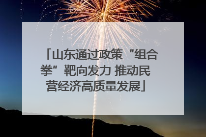 山东通过政策“组合拳”靶向发力 推动民营经济高质量发展