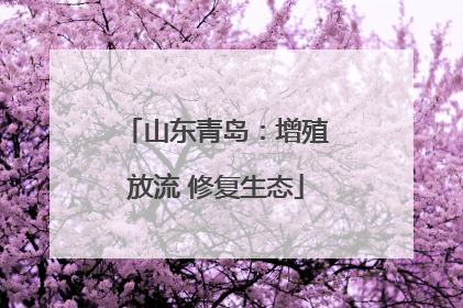 山东青岛：增殖放流 修复生态