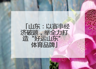 山东：以赛事经济破题，举全力打造“好运山东” 体育品牌