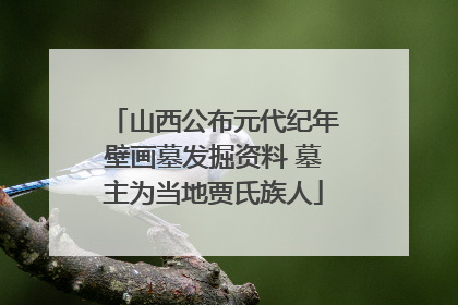 山西公布元代纪年壁画墓发掘资料 墓主为当地贾氏族人