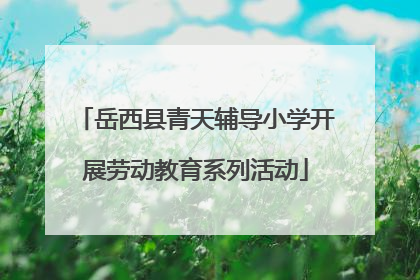 岳西县青天辅导小学开展劳动教育系列活动