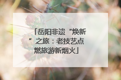 岳阳非遗“焕新”之旅：老技艺点燃旅游新烟火