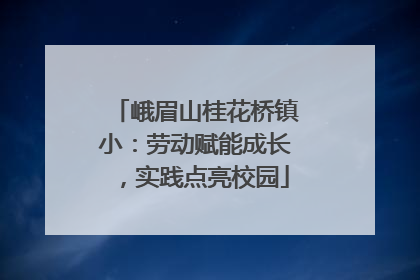 峨眉山桂花桥镇小：劳动赋能成长，实践点亮校园