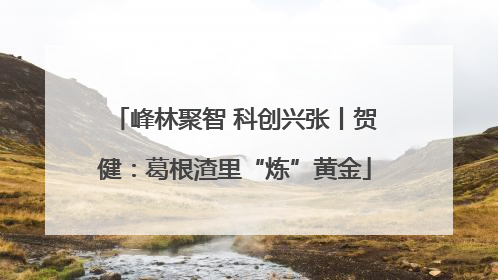 峰林聚智 科创兴张丨贺健：葛根渣里“炼”黄金