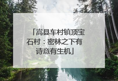 嵩县车村镇顶宝石村：密林之下有诗意有生机