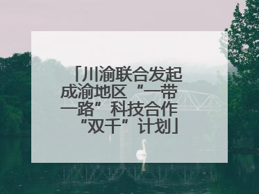 川渝联合发起成渝地区“一带一路”科技合作“双千”计划