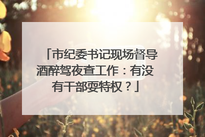市纪委书记现场督导酒醉驾夜查工作：有没有干部耍特权？