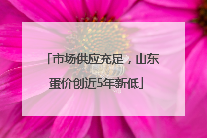 市场供应充足，山东蛋价创近5年新低