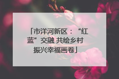 市洋河新区：“红蓝”交融 共绘乡村振兴幸福画卷