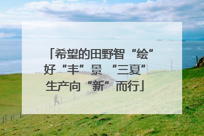 希望的田野智“绘”好“丰”景 “三夏”生产向“新”而行