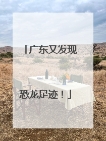 广东又发现恐龙足迹！