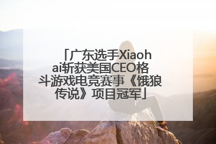广东选手Xiaohai斩获美国CEO格斗游戏电竞赛事《饿狼传说》项目冠军