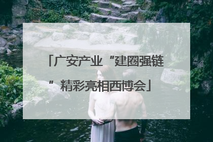 广安产业“建圈强链”精彩亮相西博会