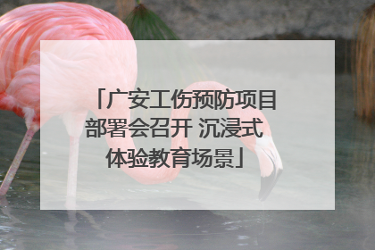 广安工伤预防项目部署会召开 沉浸式体验教育场景