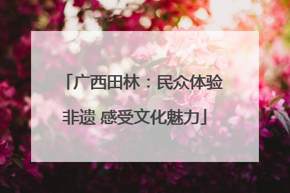 广西田林：民众体验非遗 感受文化魅力
