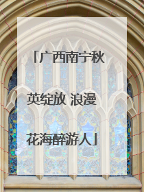 广西南宁秋英绽放 浪漫花海醉游人