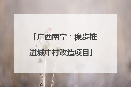广西南宁：稳步推进城中村改造项目