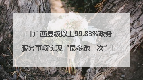 广西县级以上99.83%政务服务事项实现“最多跑一次”