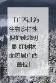 广西北海生物多样性保护成效明显 红树林面积居广西首位