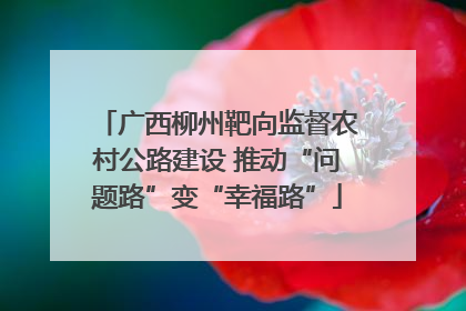 广西柳州靶向监督农村公路建设 推动“问题路”变“幸福路”