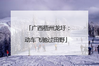 广西梧州龙圩：动车飞驰过田野
