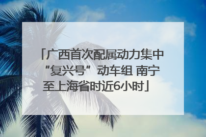 广西首次配属动力集中“复兴号”动车组 南宁至上海省时近6小时