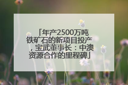 年产2500万吨铁矿石的新项目投产，宝武董事长：中澳资源合作的里程碑