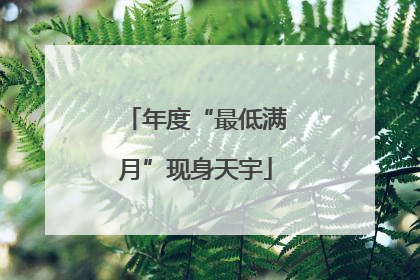 年度“最低满月”现身天宇