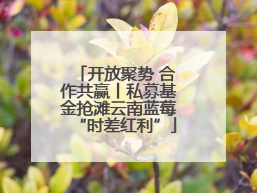 开放聚势 合作共赢丨私募基金抢滩云南蓝莓“时差红利”