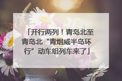 开行两列！青岛北至青岛北“青烟威半岛环行”动车组列车来了