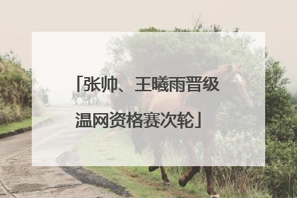 张帅、王曦雨晋级温网资格赛次轮