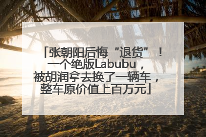 张朝阳后悔“退货”！一个绝版Labubu，被胡润拿去换了一辆车，整车原价值上百万元