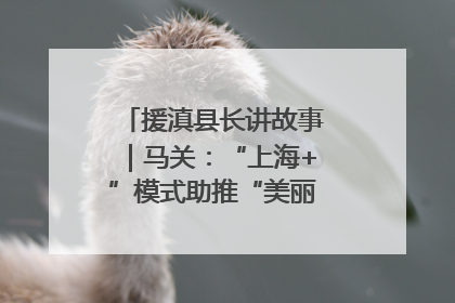 援滇县长讲故事｜马关：“上海+”模式助推“美丽产业”幸福绽放