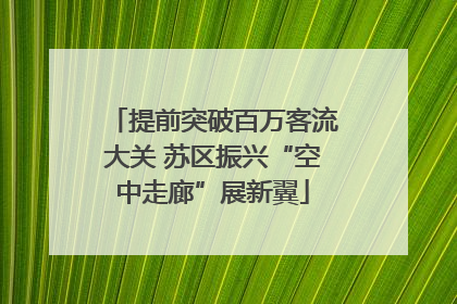 提前突破百万客流大关 苏区振兴“空中走廊”展新翼