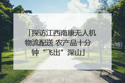 探访江西南康无人机物流配送 农产品十分钟“飞出”深山