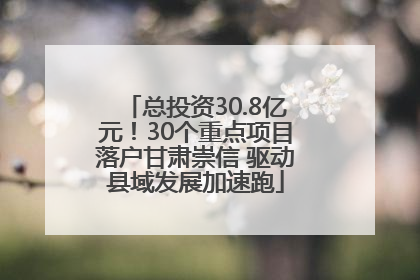 总投资30.8亿元！30个重点项目落户甘肃崇信 驱动县域发展加速跑
