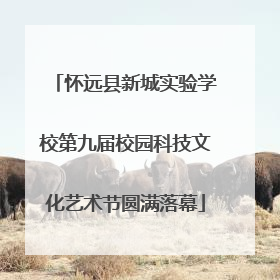 怀远县新城实验学校第九届校园科技文化艺术节圆满落幕