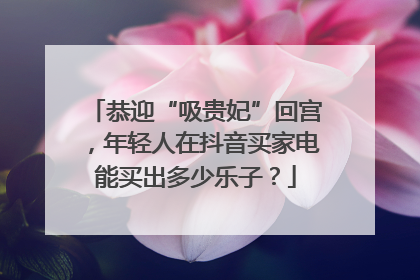 恭迎“吸贵妃”回宫，年轻人在抖音买家电能买出多少乐子？