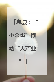 息县：“小金蛋”撬动“大产业”