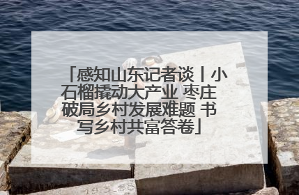 感知山东记者谈丨小石榴撬动大产业 枣庄破局乡村发展难题 书写乡村共富答卷